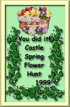 Castle Garden Spring Flower Hunt